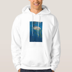 Veste À Capuche Whale Shark with fish, Indonésie