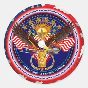 Veteran Customize Edit & Change background colour Classic Round Sticker