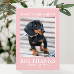 Vétérinaire Merci Photo de Chien XOXO Rose