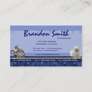 Veterinarian Appointment Business Cards ~ Blue H