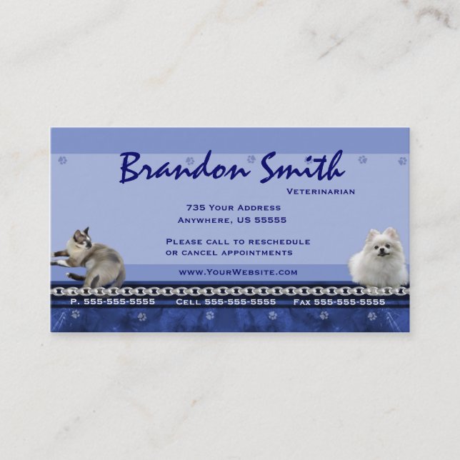 Veterinarian Appointment Business Cards ~ Blue H (Front)