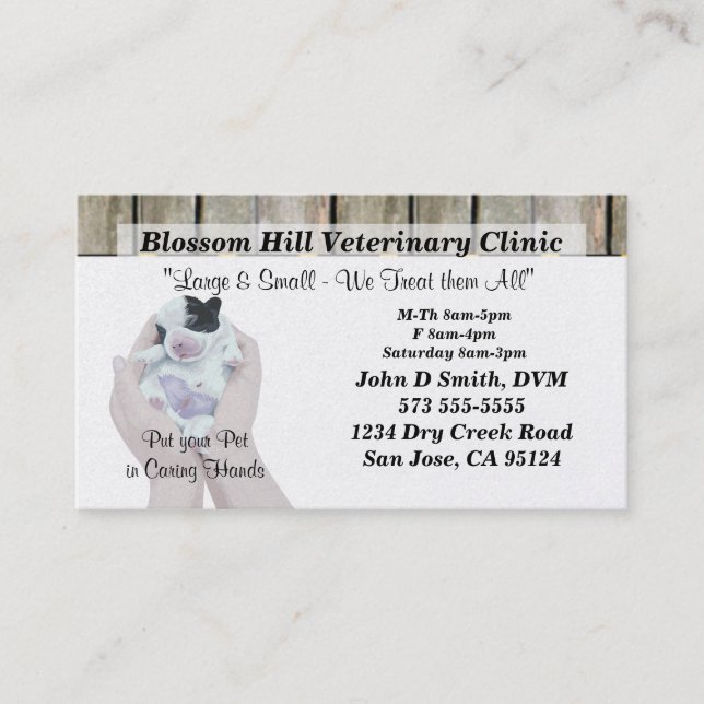 Veterinarian Business Card (Front)