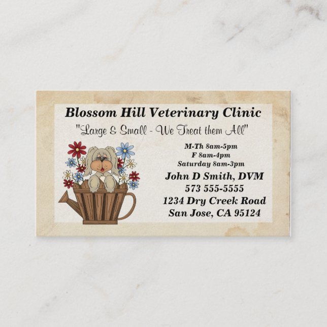 Veterinarian Business Card (Front)