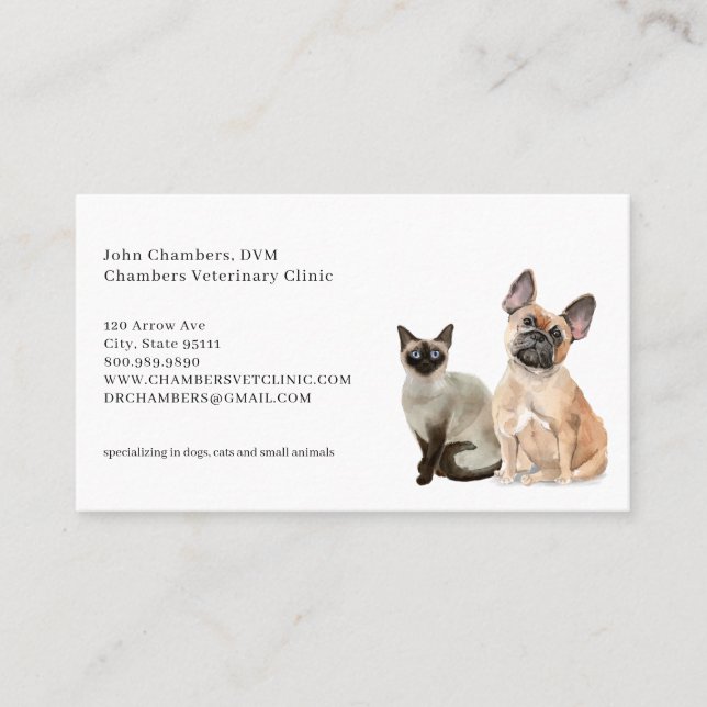 Veterinarian Business Card & Appointment Reminder (Front)