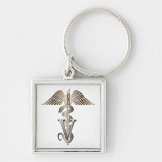Veterinarian Caduceus Keychain