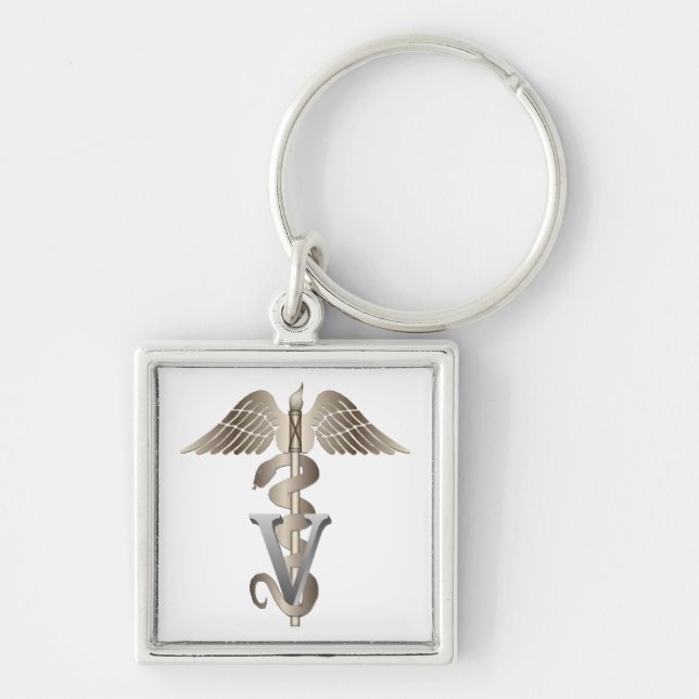 Veterinarian Caduceus Keychain (Front)