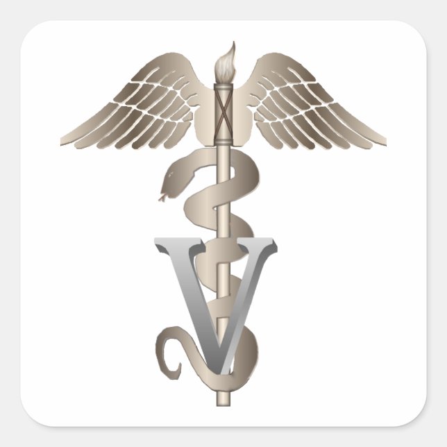 Veterinarian Caduceus Square Sticker (Front)