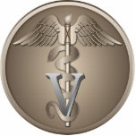 Veterinarian Caduceus Standing Photo Sculpture<br><div class="desc">Animal Doctor Emblem - Veterinary Caduceus</div>