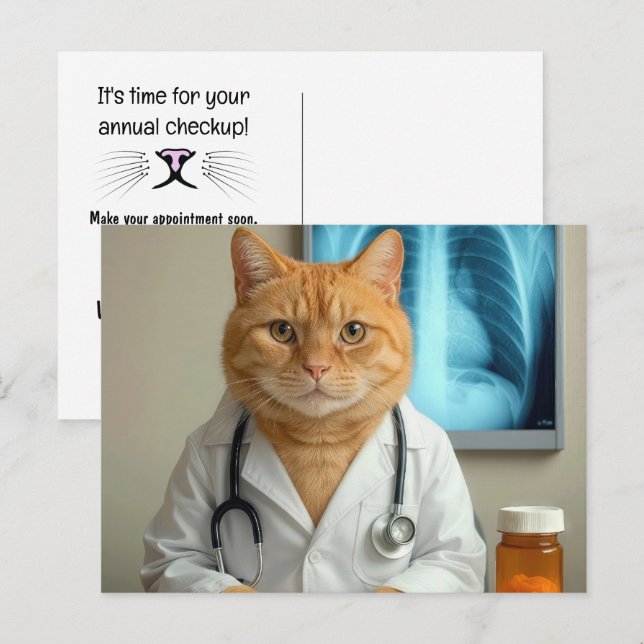 Veterinarian Cat With Stethoscope Postcard (Front/Back)