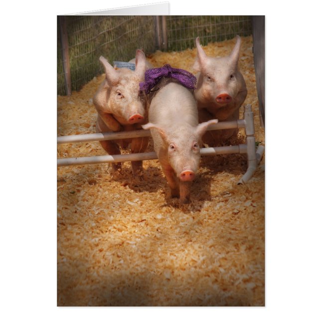 Veterinarian - Getting past hurdles (Front)