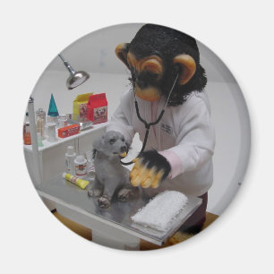 Veterinarian Magnet
