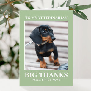 Veterinarian Thank You Pet Dog Photo XOXO Green Card
