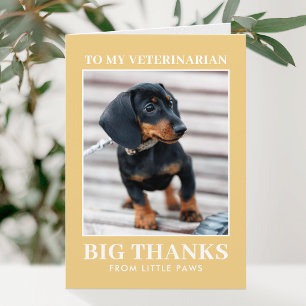Veterinarian Thank You Pet Dog Photo Yellow Modern Card