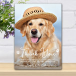 Veterinarian Thank You Veterinary Dog Pet Photo Plaque<br><div class="desc">Say 'Thank You' to your wonderful veterinarian with a cute personalized pet photo plaque from the dog! Personalize with the pet's name & favourite photo. This veterinary appreciation gift will be a treasure keepsake. Customize for Vet Assistant, Vet Tech or Veterinary Title. COPYRIGHT © 2020 Judy Burrows, Black Dog Art...</div>