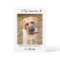 Veterinarian Veterinary Personalized Pet Dog Photo