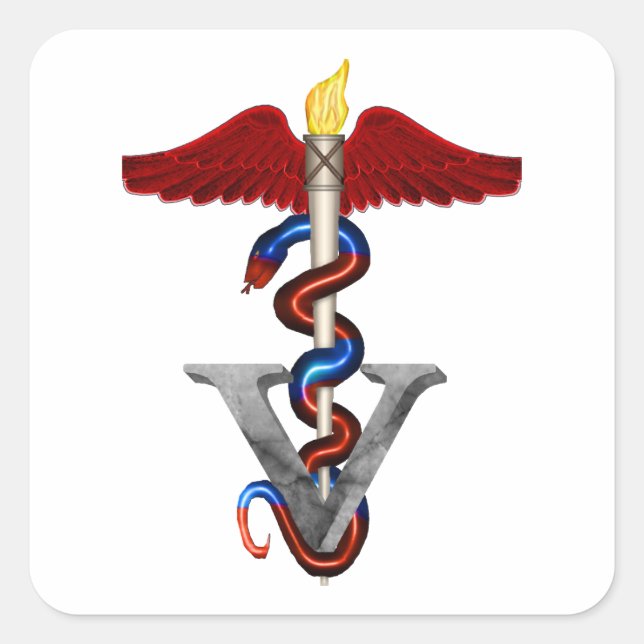 Veterinary Caduceus Square Sticker (Front)