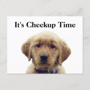 Veterinary Checkup Puppy Reminder Postcard