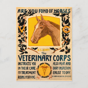 Veterinary Corps Postcard