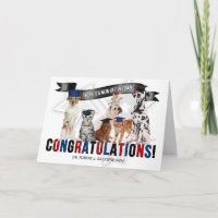Veterinary Graduate Congratulations Cats and Dogs 