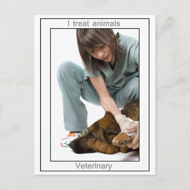 Veterinary Postcard (Front)