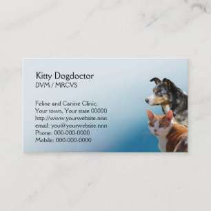 Veterinary practice appointment card