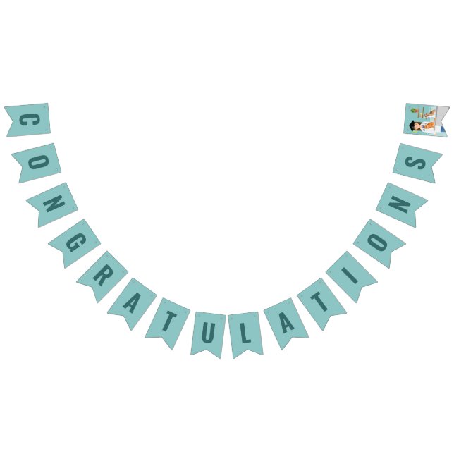 Veterinary Student DVM Graduate Congratulations Bunting Flags (All)