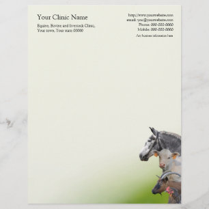 Veterinary surgeon business letterhead