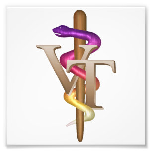 Veterinary Tech Photo Print