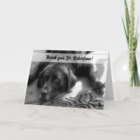 Veterinary Thank You from the Dog Labrador