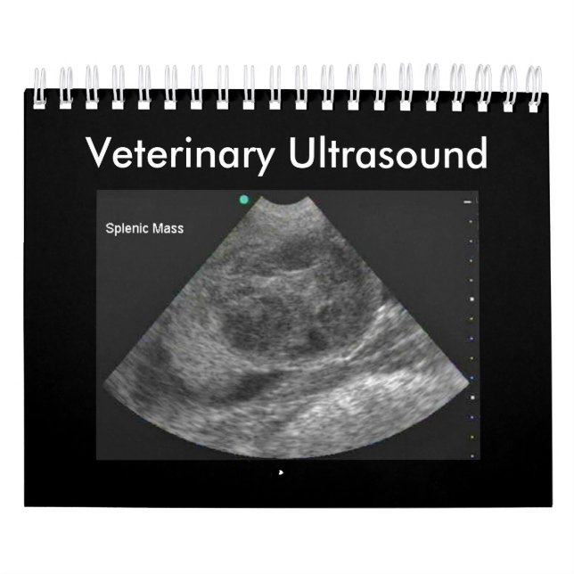 Veterinary Ultrasound Calendar 2024 (Cover)