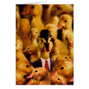 Vêtu De Succès Canard