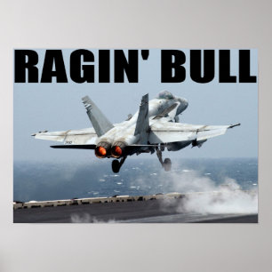 VFA-37 Ragin' Bull Poster