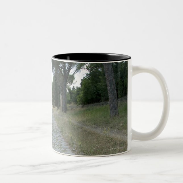 Via Appia  Appian way, roman roadway Two-Tone Coffee Mug (Right)