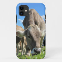 Viande de vache iPhone 5 coque