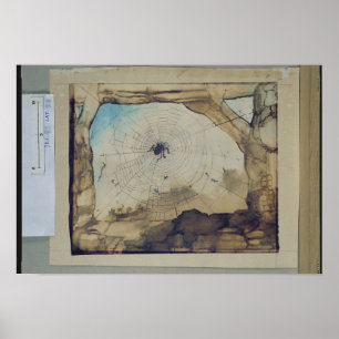 Vianden through a Spider's Web Poster