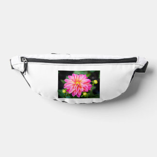 viatormaxonx fanny pack