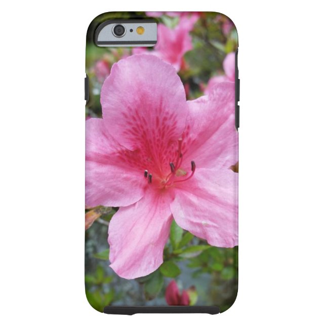 Vibrance Case-Mate iPhone Case (Back)