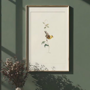 Vibrant American Goldfinch Watercolor Art Poster