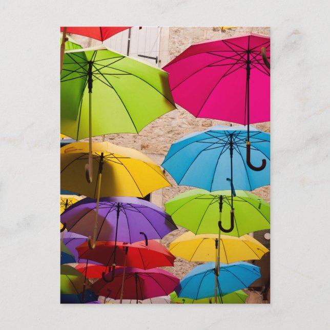 Vibrant and Colourful Umbrellas Postcard (Front)