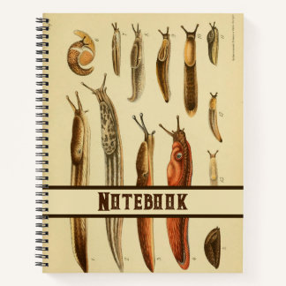 Vibrant Antique Slug Illustration Natural History  Notebook