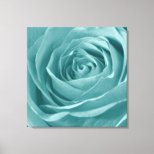 Vibrant Aqua Rose, Floral Nature Photograph Canvas Print