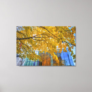 Vibrant Autmn Canvas Print