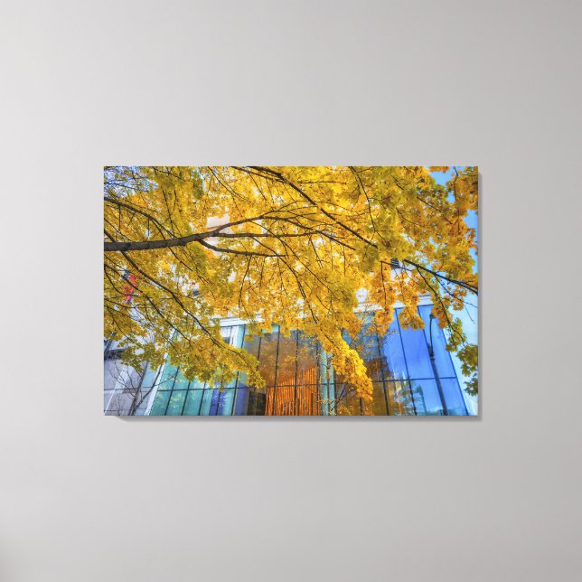 Vibrant Autmn Canvas Print (Front)