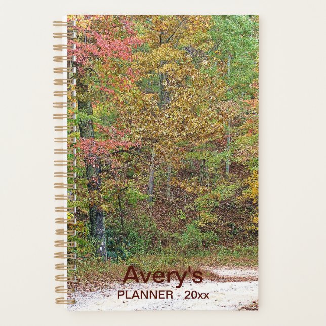 Vibrant Autumn Leaves Mountain Road Custom Planner (Front)