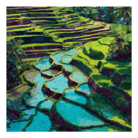 Vibrant Bali Indonesian Rice Terraces Vintage