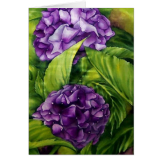 Vibrant Blooms