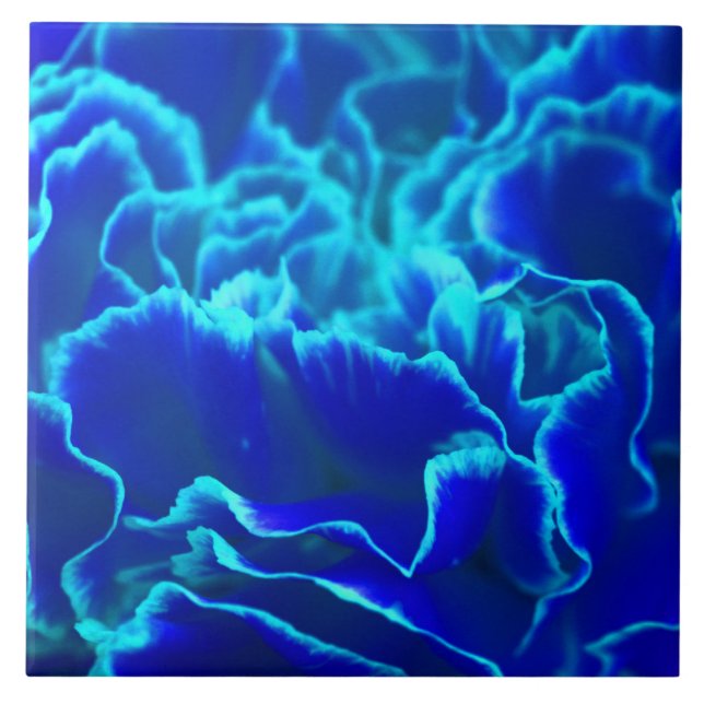 Vibrant Blue and Teal Carnation Flower Tile (Front)