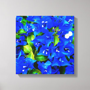 Vibrant Blue Bougainvillea Flowers Canvas Print