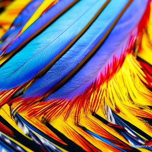 Vibrant Blue Feathers Laptop Sleeve