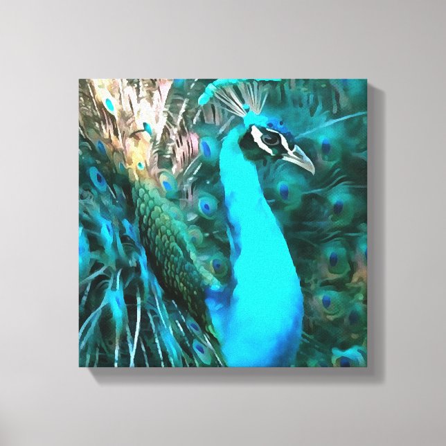 Vibrant Blue Peacock In With Fanned Tail Canvas Print (Front)